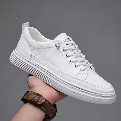 Męskie Niskie Sneakersy Sportowe z Oddychającym Designem | Idealne na Wiosnę i Jesień