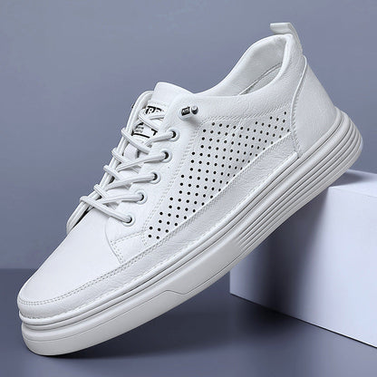 Męskie Niskie Sneakersy Sportowe z Oddychającym Designem | Idealne na Wiosnę i Jesień